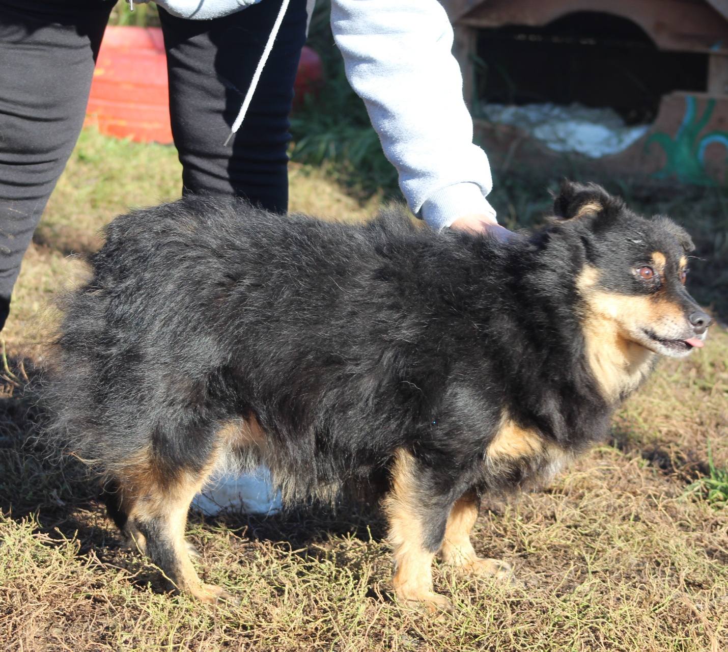 Vito Casa lui Patrocle 3