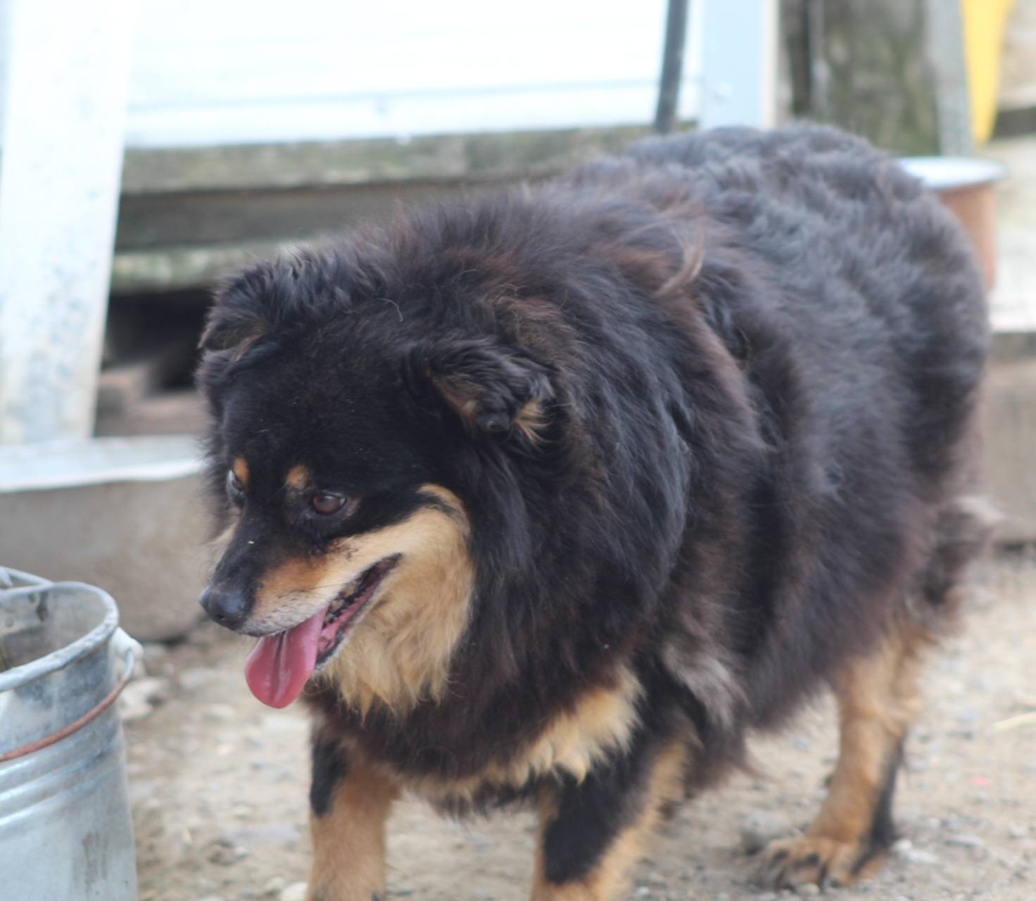 Vito Casa lui Patrocle 6