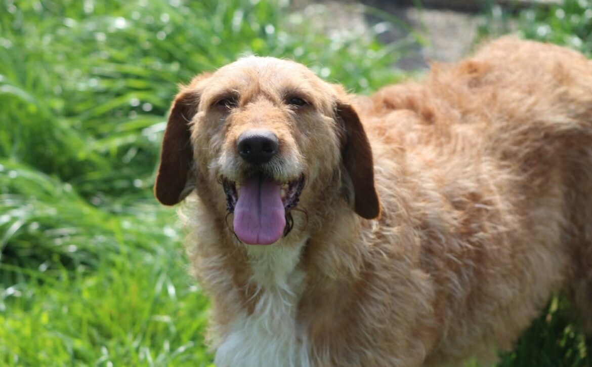 elias de la casa lui patrocle 3