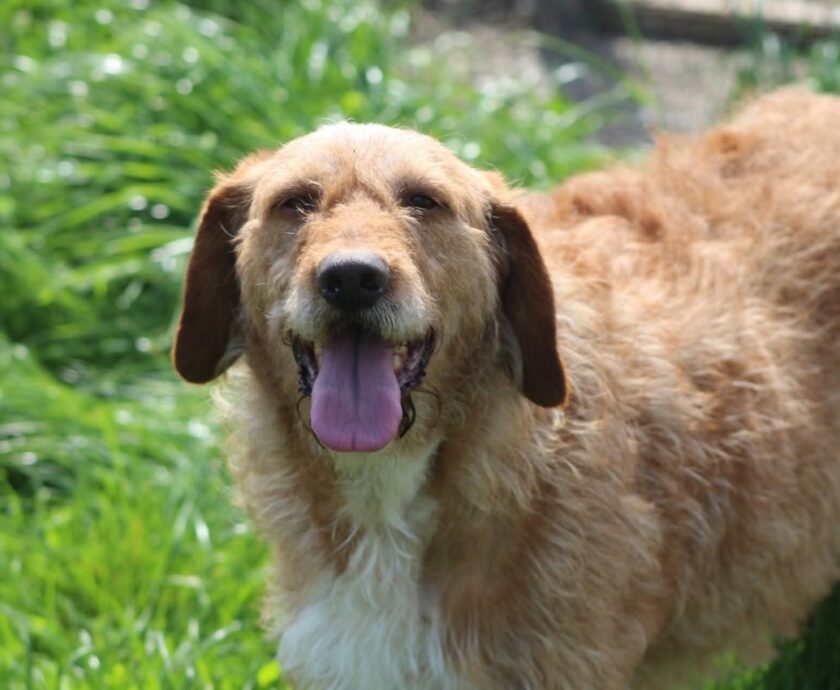 elias de la casa lui patrocle 3