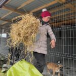 Gospodarul adevărat își hrănește întâi animalele și abia apoi se așază la masă.