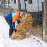 Diminețile ne găsesc cu urme de lăbuțe în zăpadă și castroane care se golesc mai repede decât deobicei!