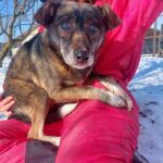 O lume de zgomot și umbre: Jamie este aproape orb și singur