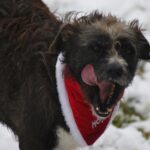 Negruța nu e un caz singular. Este rezultatul unui tipar pe care îl vedem prea des, în munca pe care o facem.