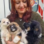 Nici printre zgomote de sudură și construcții. Locul unui pui nu e într-un adăpost