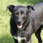 Simina: De la ruine la bucuria de a trăi – O luptătoare își caută norocul